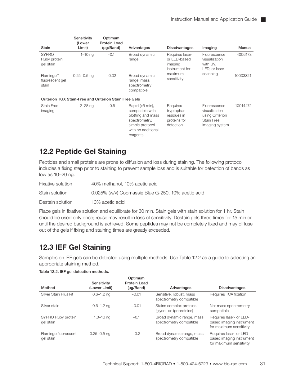 2 peptide gel staining, 3 ief gel staining | Bio-Rad Criterion™ TBE-Urea Precast Gels User Manual | Page 37 / 60