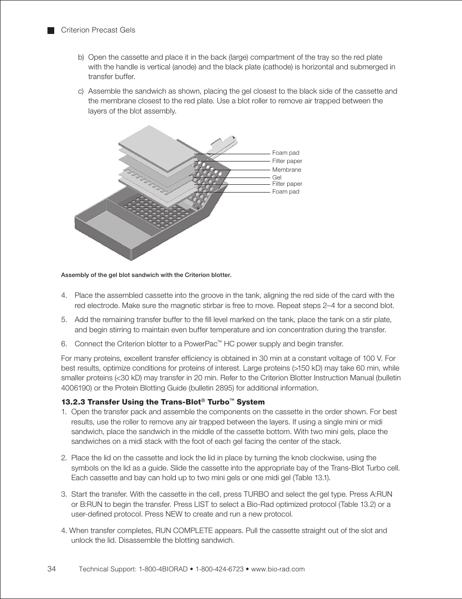 3 transfer using the trans-blot turbo system, 3 transfer using the trans-blot, Turbo | System | Bio-Rad Criterion™ TBE-Urea Precast Gels User Manual | Page 40 / 60