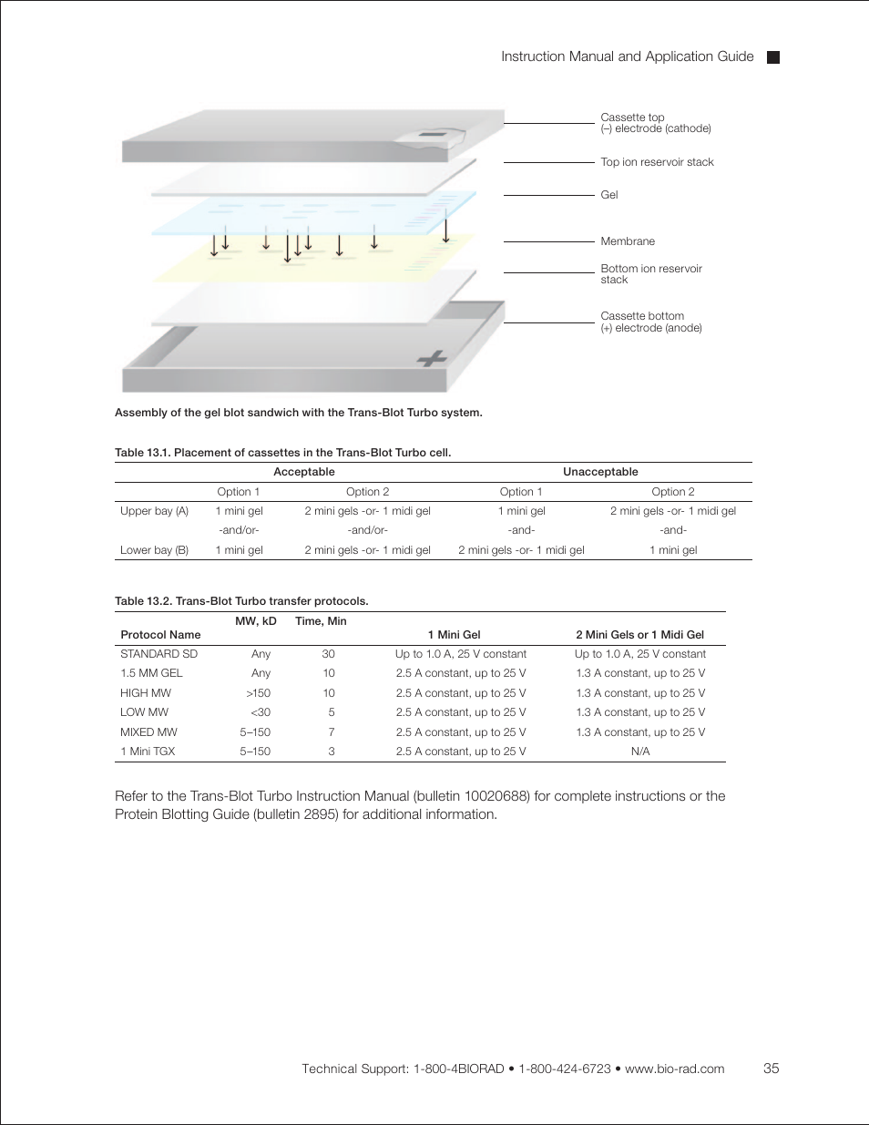 Bio-Rad Criterion™ TBE-Urea Precast Gels User Manual | Page 41 / 60