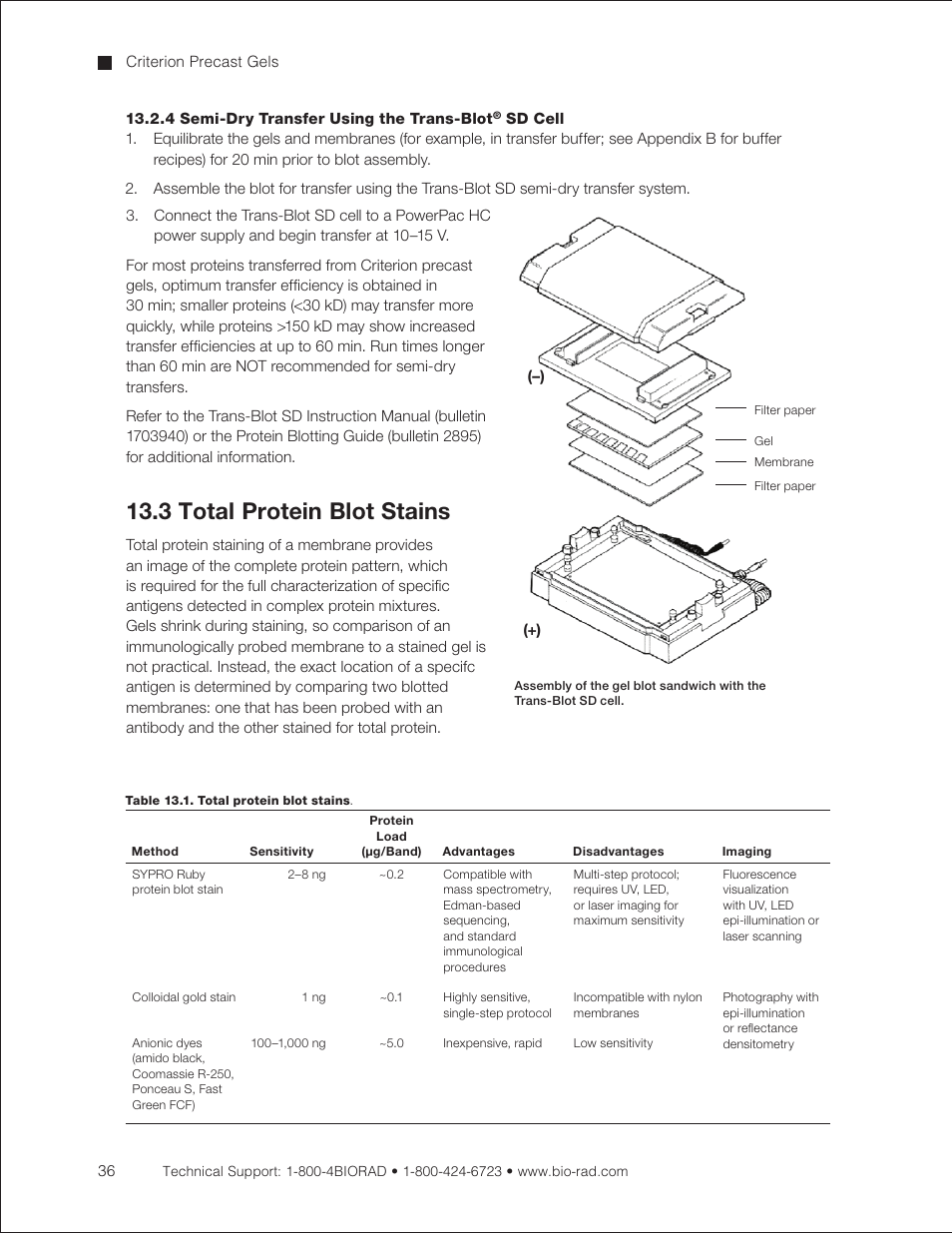 4 semi-dry transfer using the trans-blot sd cell, 3 total protein blot stains, 4 semi-dry transfer using the trans-blot | Sd cell | Bio-Rad Criterion™ TBE-Urea Precast Gels User Manual | Page 42 / 60