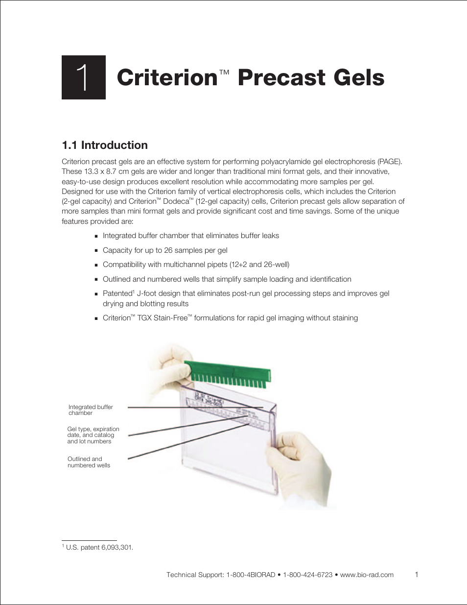 Chapter 1: criterion precast gels, 1 introduction, Chapter 1: criterion | Precast gels, Criterion | Bio-Rad Criterion™ TBE-Urea Precast Gels User Manual | Page 7 / 60