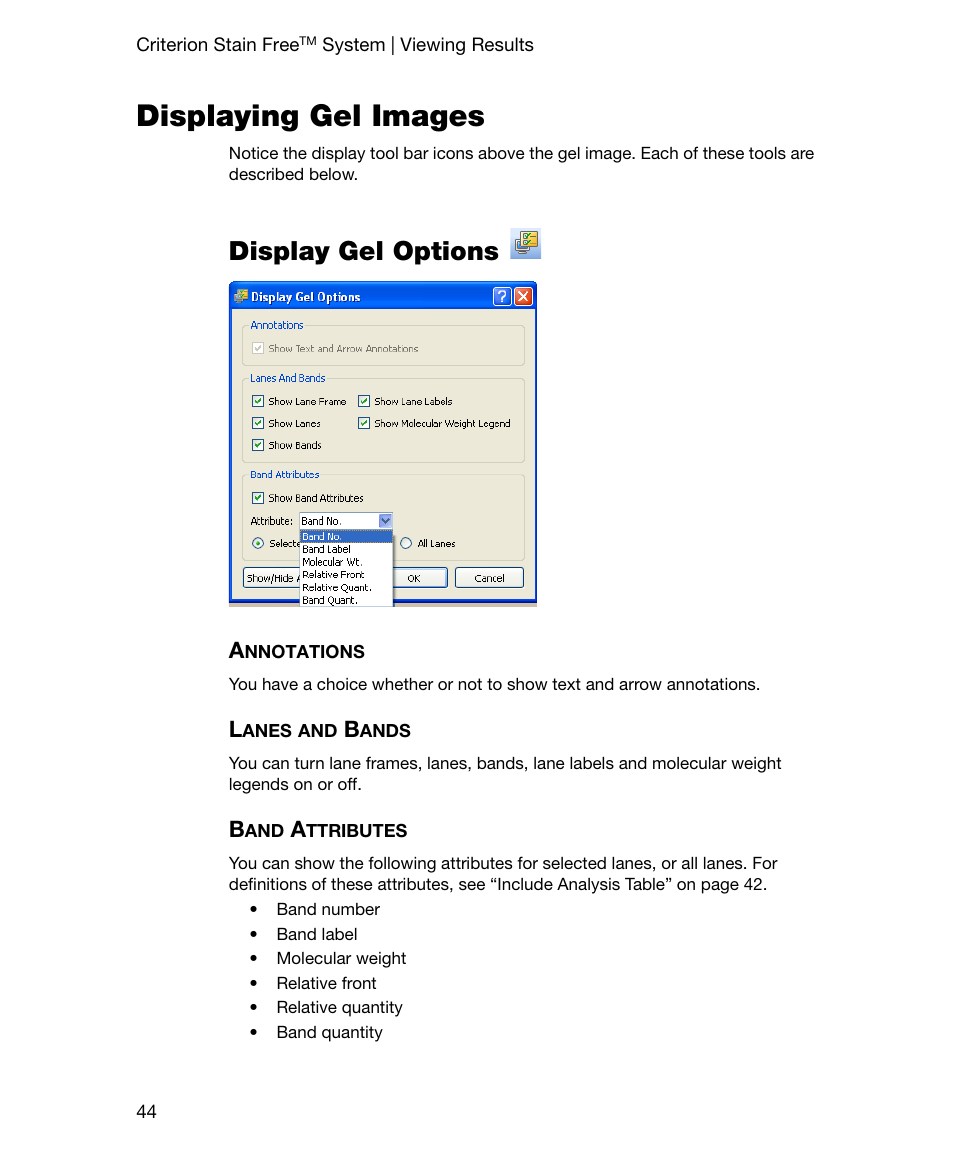 Displaying gel images, Display gel options, Annotations | Lanes and bands, Band attributes, Annotations lanes and bands band attributes | Bio-Rad Gel Doc™ EZ System User Manual | Page 58 / 96