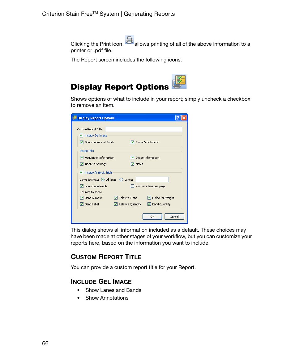 Display report options, Custom report title, Include gel image | Custom report title include gel image | Bio-Rad Gel Doc™ EZ System User Manual | Page 80 / 96