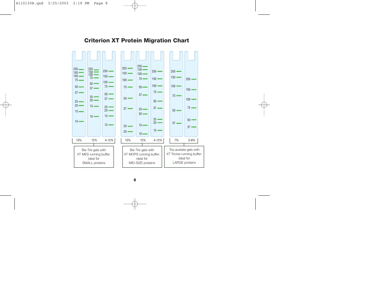 Criterion xt protein migration chart | Bio-Rad Criterion™ XT Tris-Acetate Precast Gels User Manual | Page 11 / 26