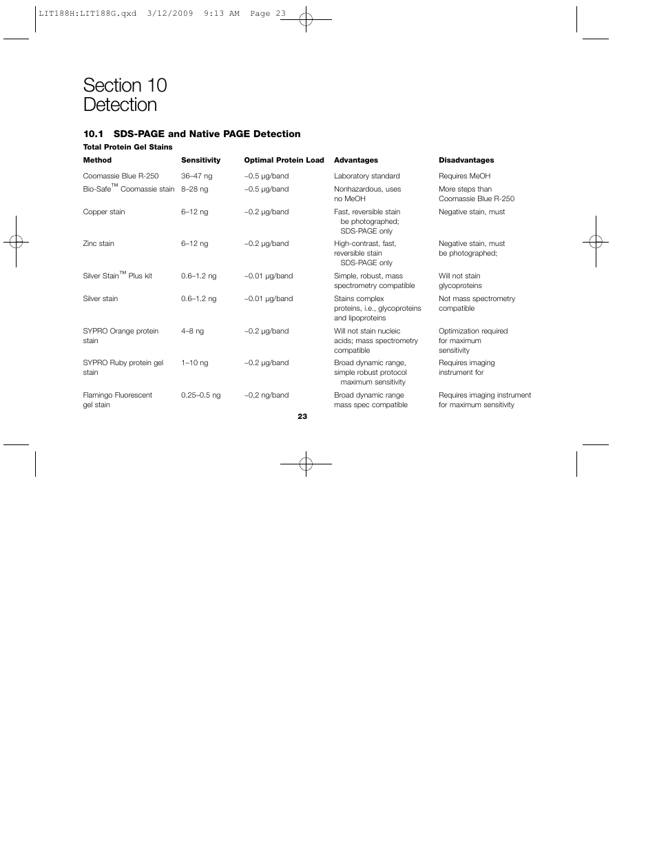 1 sds-page and native page detection | Bio-Rad Ready Gel Precast Gels for 2-D Electrophoresis User Manual | Page 28 / 46