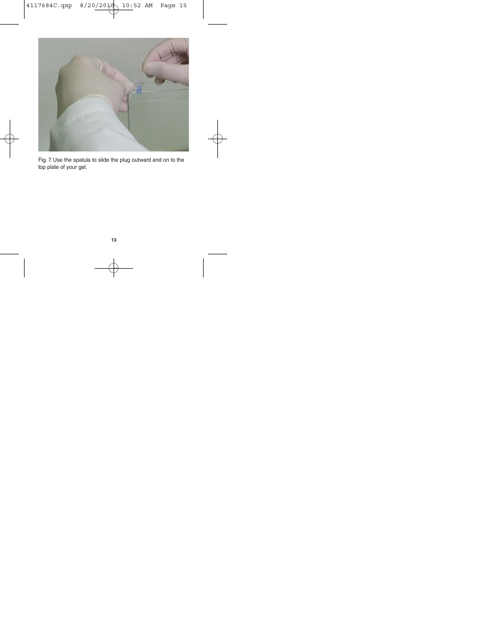 Bio-Rad Precision Plus Protein™ Standard Plugs User Manual | Page 15 / 16