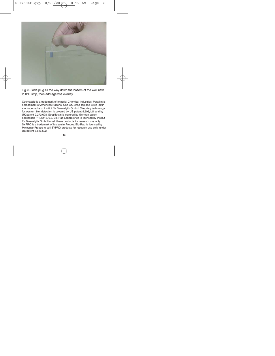 Bio-Rad Precision Plus Protein™ Standard Plugs User Manual | Page 16 / 16