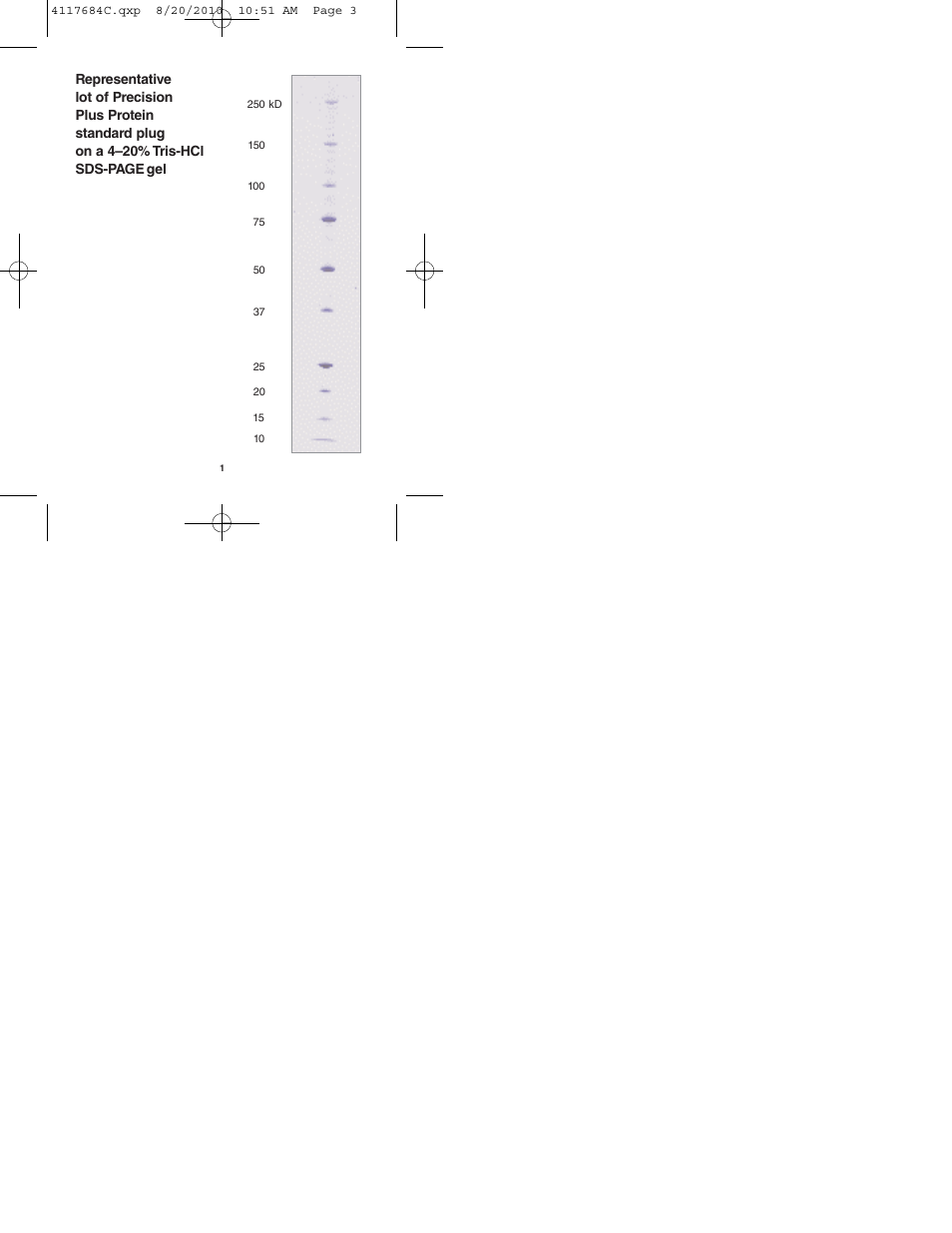 Bio-Rad Precision Plus Protein™ Standard Plugs User Manual | Page 3 / 16