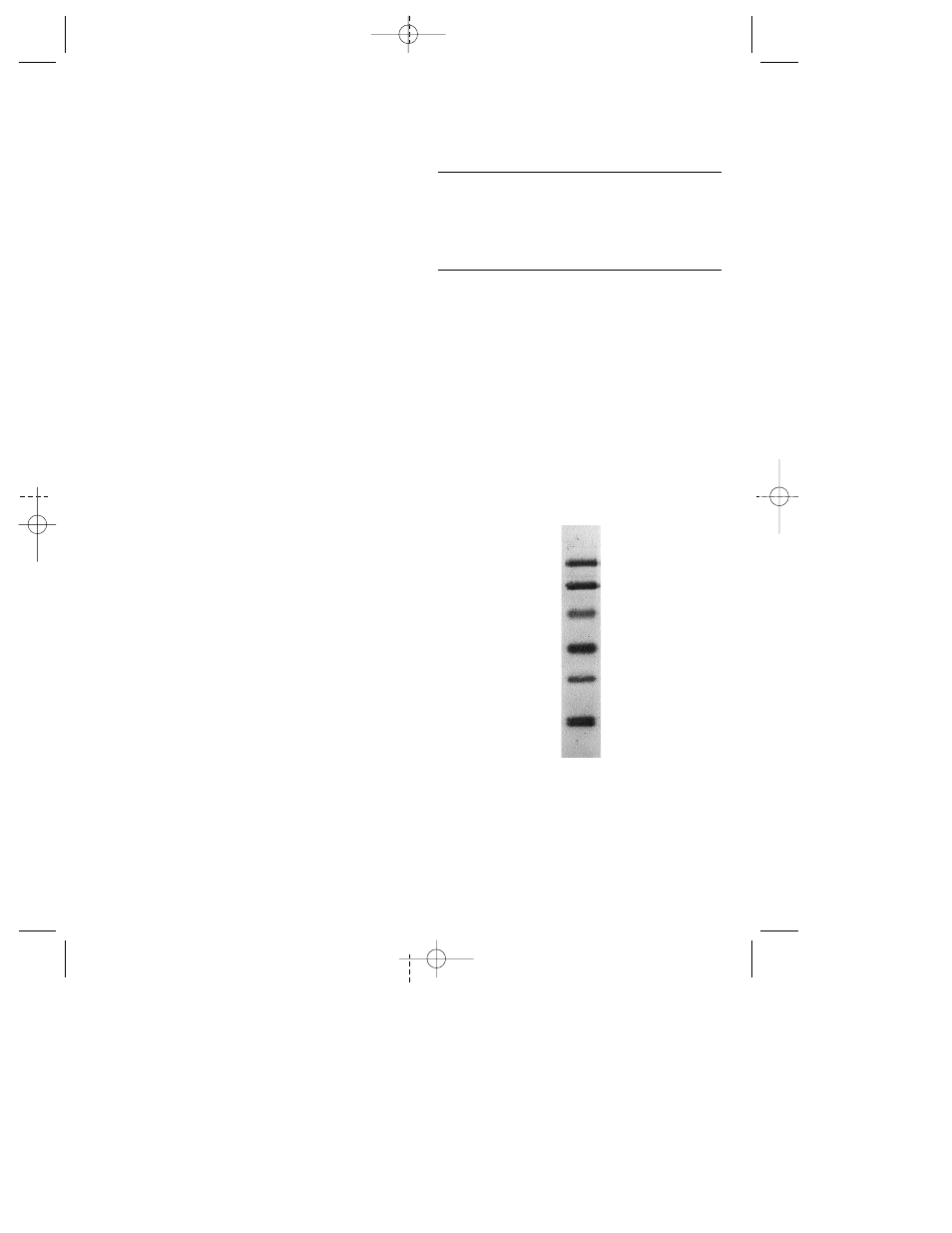 Protein molecular weights, Constituent proteins, Instructions for use | Bio-Rad Prestained SDS-PAGE Standards User Manual | Page 3 / 3