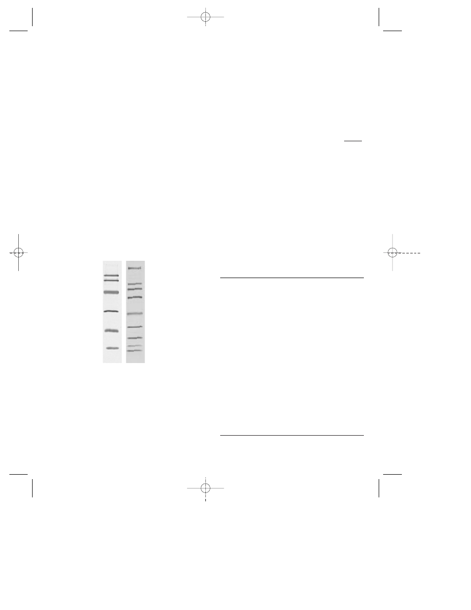 Protocol, Protein references | Bio-Rad Biotinylated Standards User Manual | Page 3 / 3