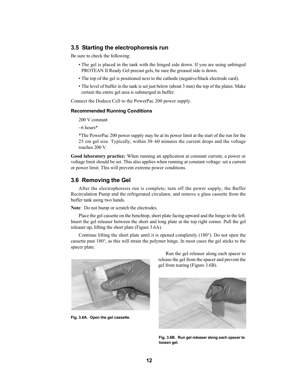 Bio-Rad PROTEAN Plus Dodeca Cell User Manual | Page 14 / 20