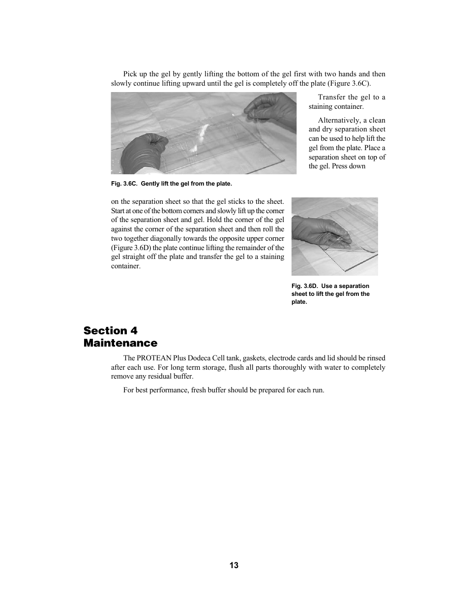 Bio-Rad PROTEAN Plus Dodeca Cell User Manual | Page 15 / 20