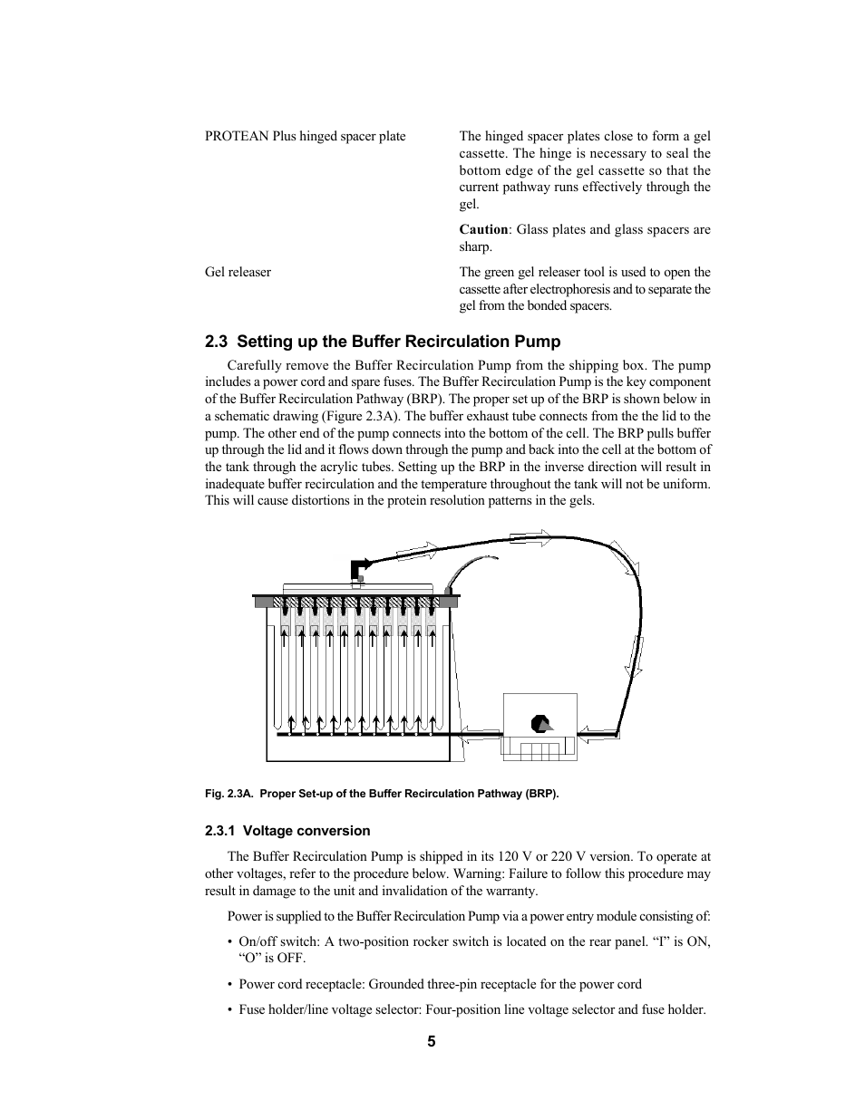 Bio-Rad PROTEAN Plus Dodeca Cell User Manual | Page 7 / 20