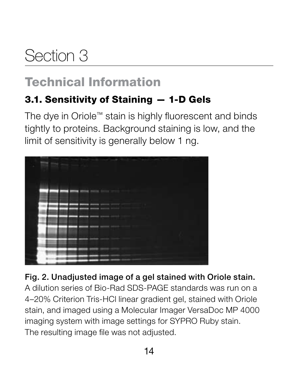 Technical information | Bio-Rad 2-D Electrophoresis Workflow User Manual | Page 18 / 27