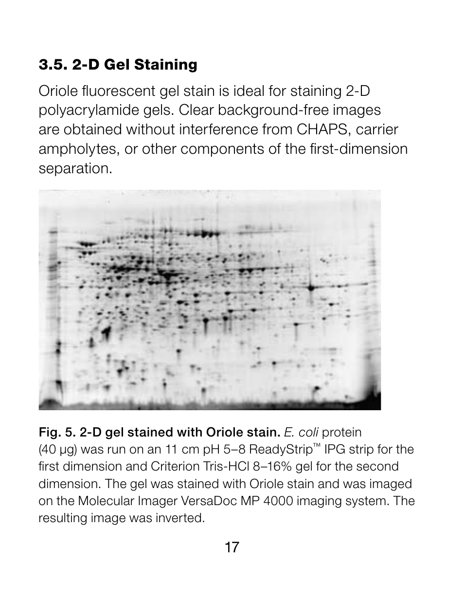 Bio-Rad 2-D Electrophoresis Workflow User Manual | Page 21 / 27