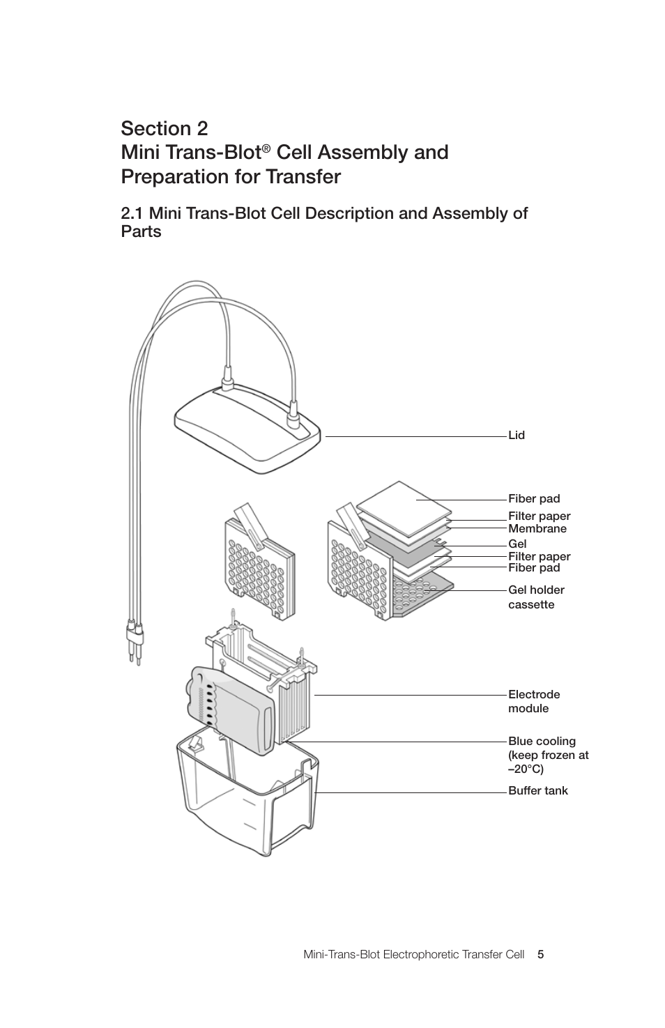 Cell assembly and preparation for transfer | Bio-Rad Mini Trans-Blot® Cell User Manual | Page 11 / 40