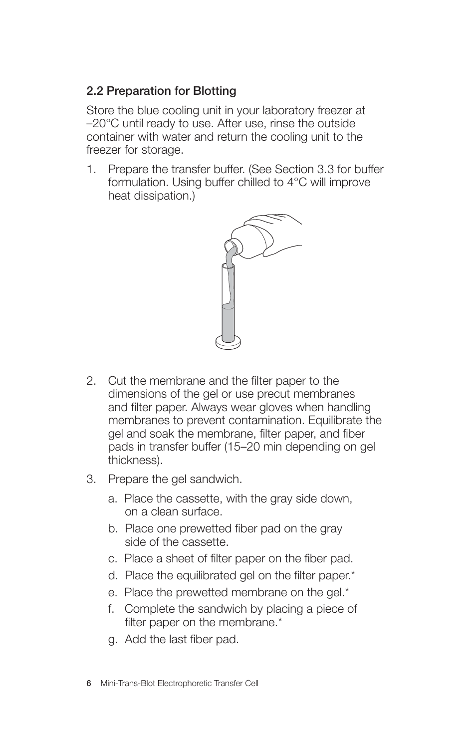 Bio-Rad Mini Trans-Blot® Cell User Manual | Page 12 / 40