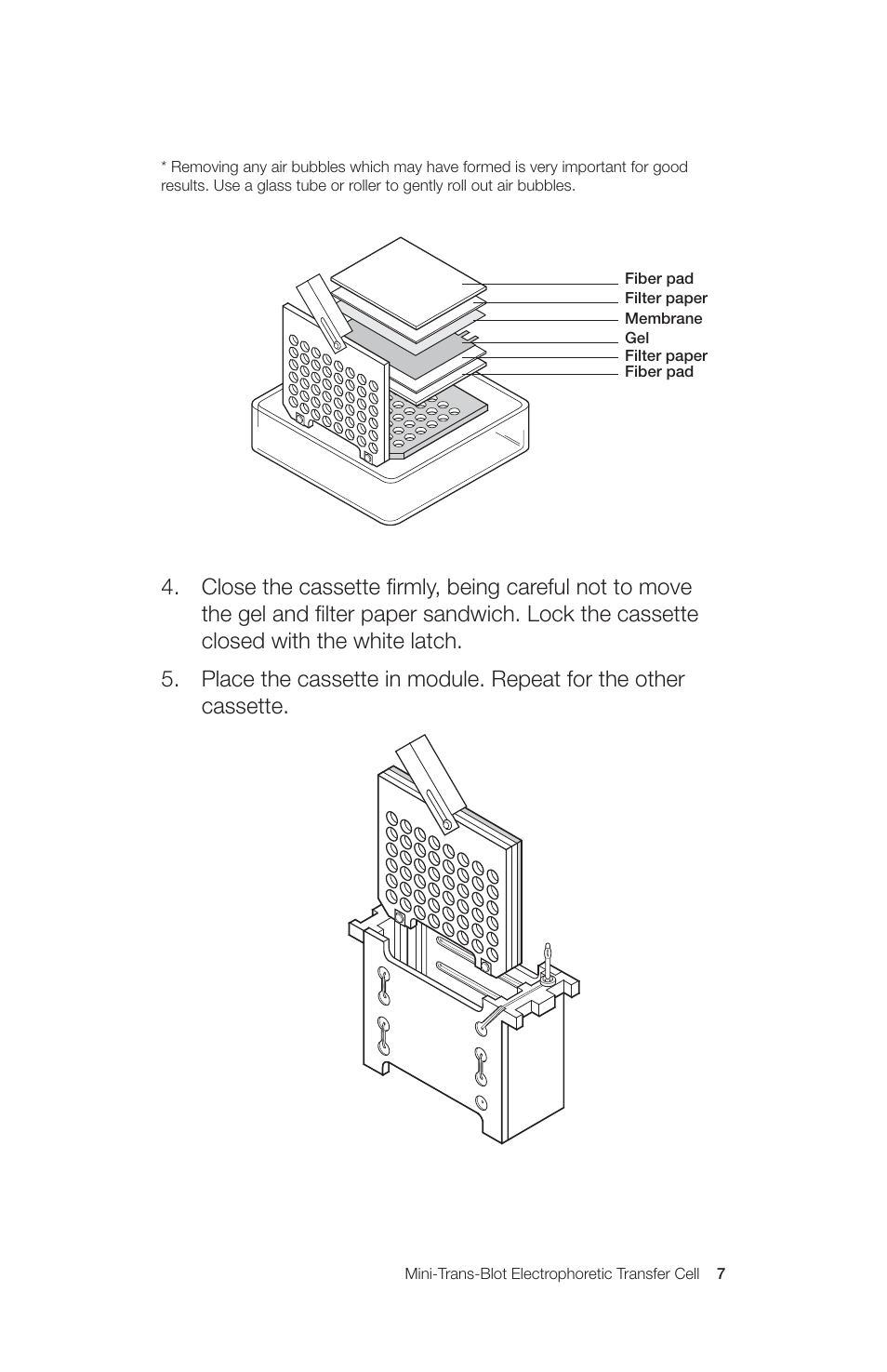 Bio-Rad Mini Trans-Blot® Cell User Manual | Page 13 / 40