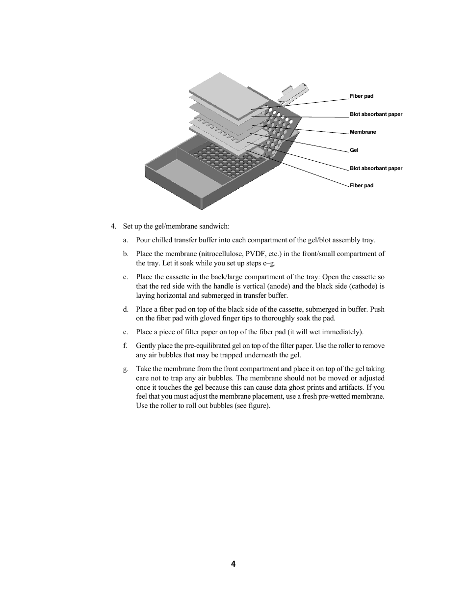 Bio-Rad Criterion™ Blotter User Manual | Page 6 / 22