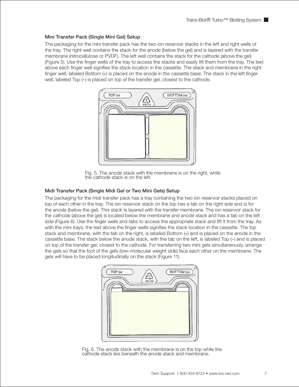 Bio-Rad Trans-Blot® Turbo™ Transfer System User Manual | Page 19 / 40