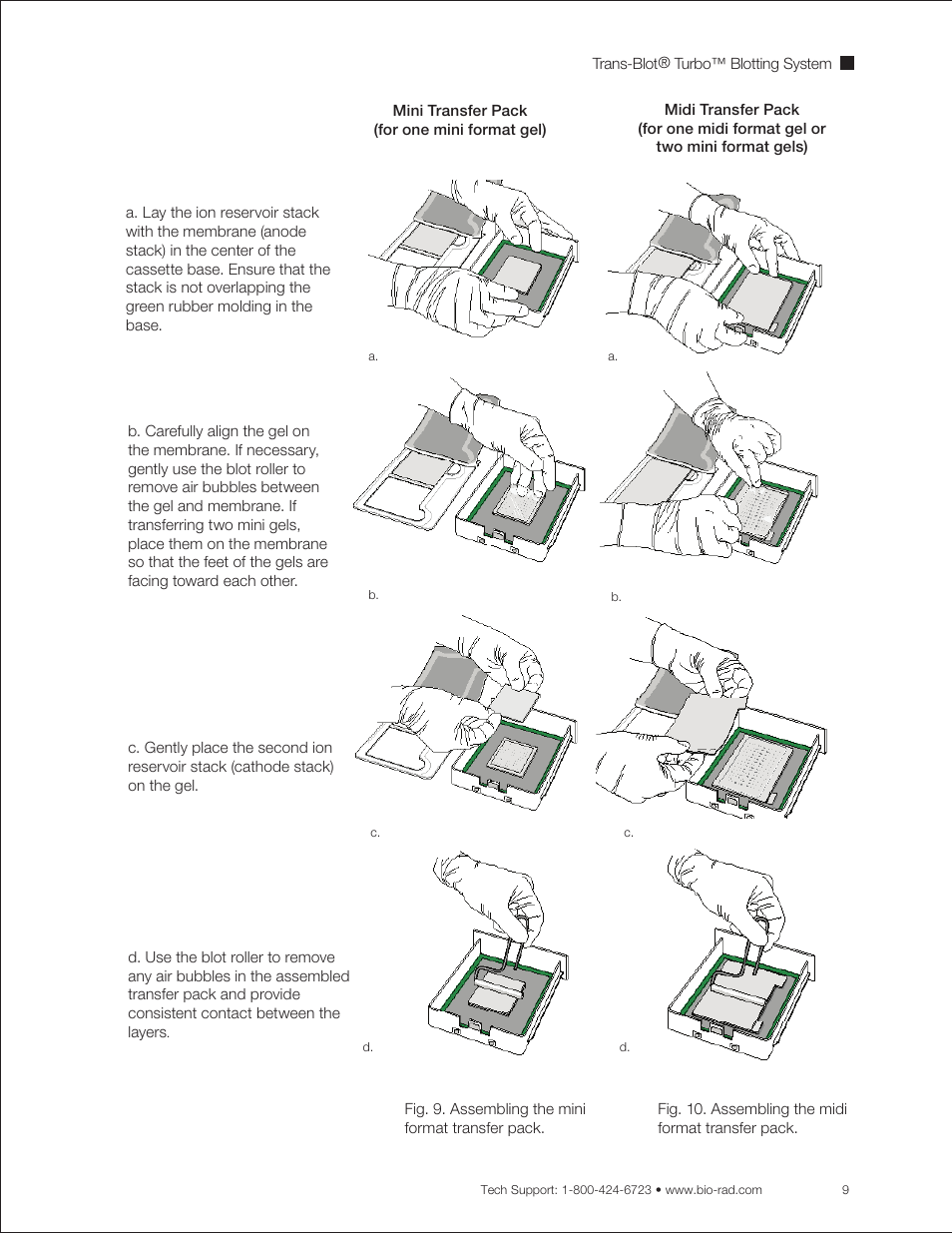 Bio-Rad Trans-Blot® Turbo™ Transfer System User Manual | Page 21 / 40