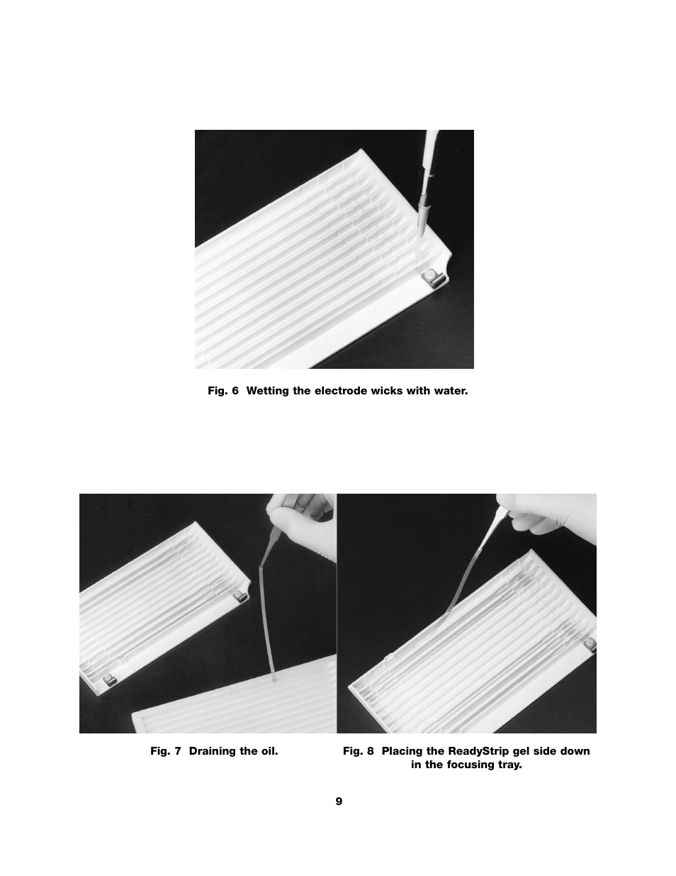 Bio-Rad ReadyPrep™ 2-D Starter Kit User Manual | Page 11 / 28