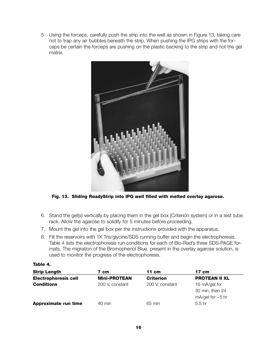 Bio-Rad ReadyPrep™ 2-D Starter Kit User Manual | Page 18 / 28