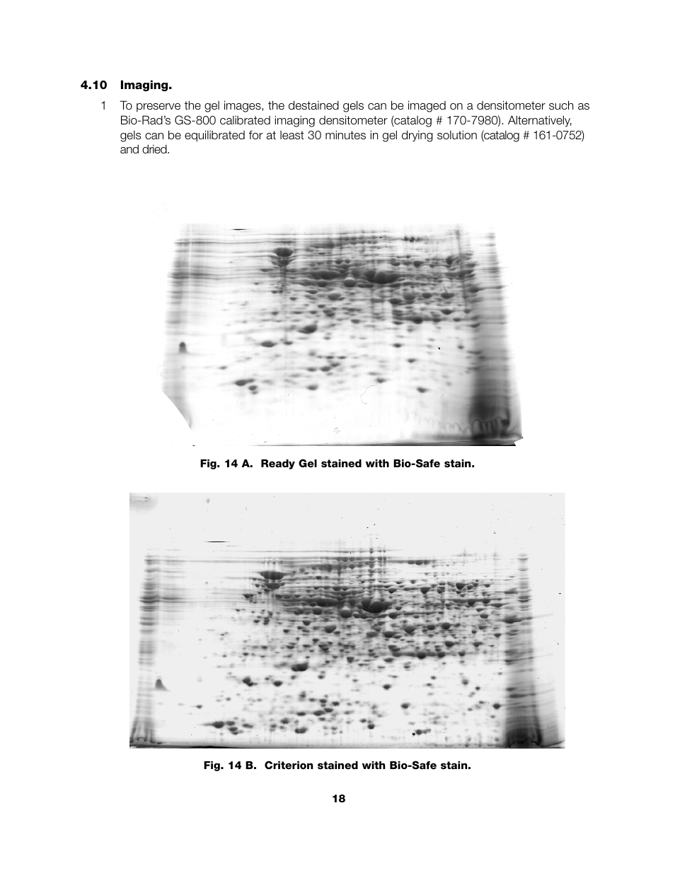 Bio-Rad ReadyPrep™ 2-D Starter Kit User Manual | Page 20 / 28