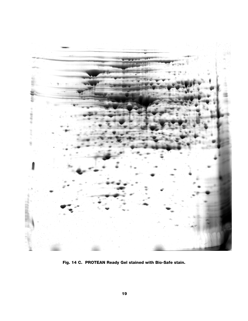 Bio-Rad ReadyPrep™ 2-D Starter Kit User Manual | Page 21 / 28