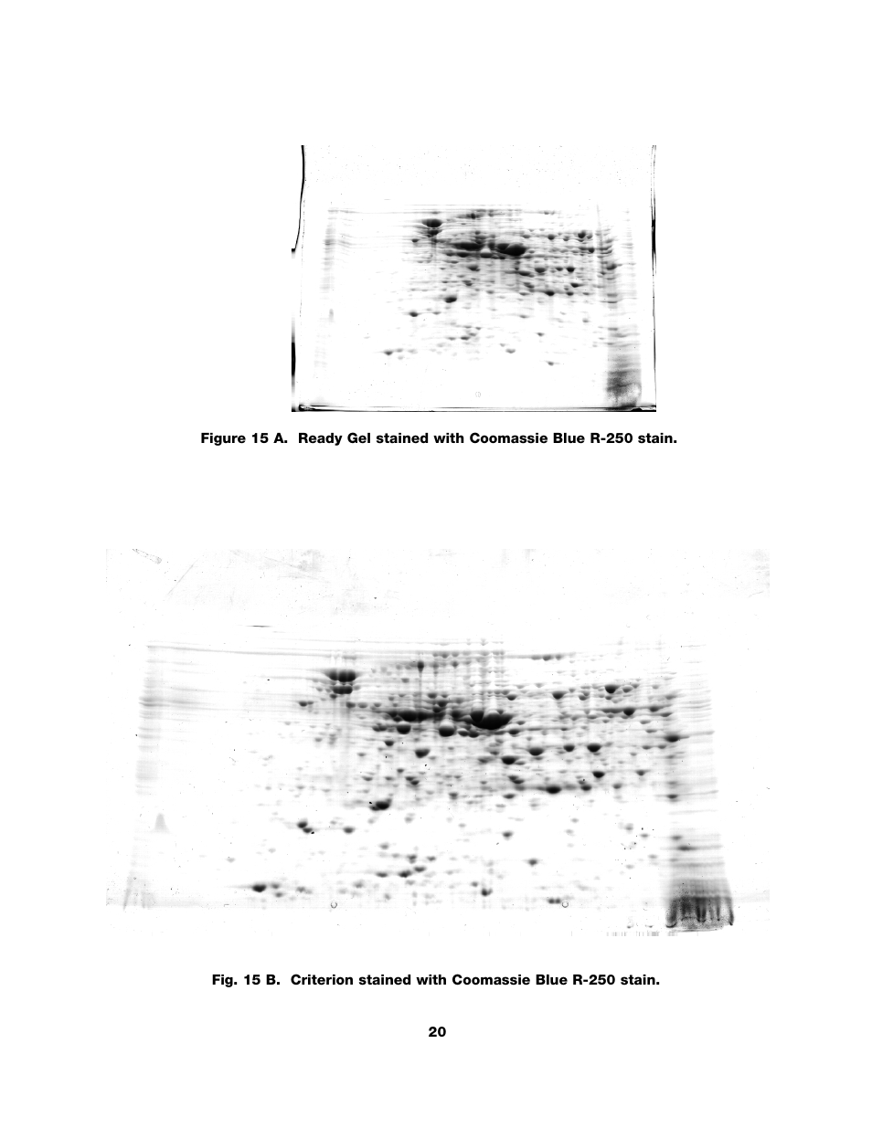 Bio-Rad ReadyPrep™ 2-D Starter Kit User Manual | Page 22 / 28
