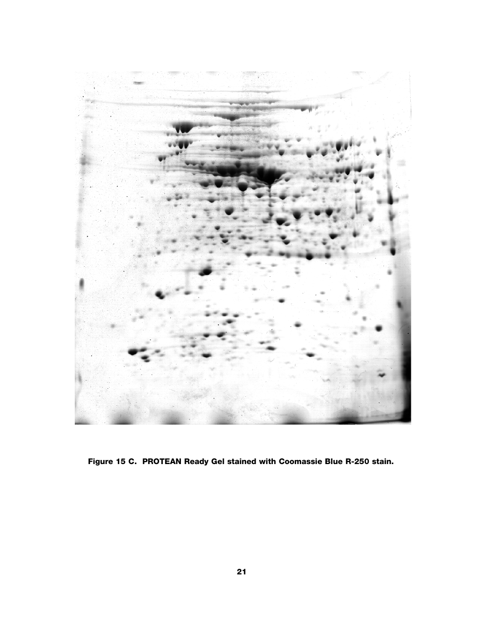 Bio-Rad ReadyPrep™ 2-D Starter Kit User Manual | Page 23 / 28