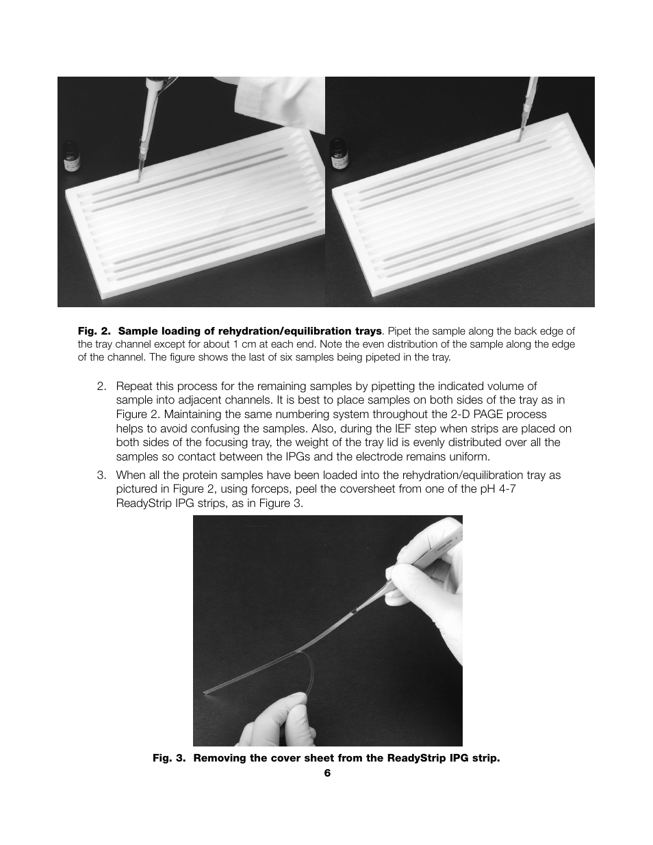 Bio-Rad ReadyPrep™ 2-D Starter Kit User Manual | Page 8 / 28