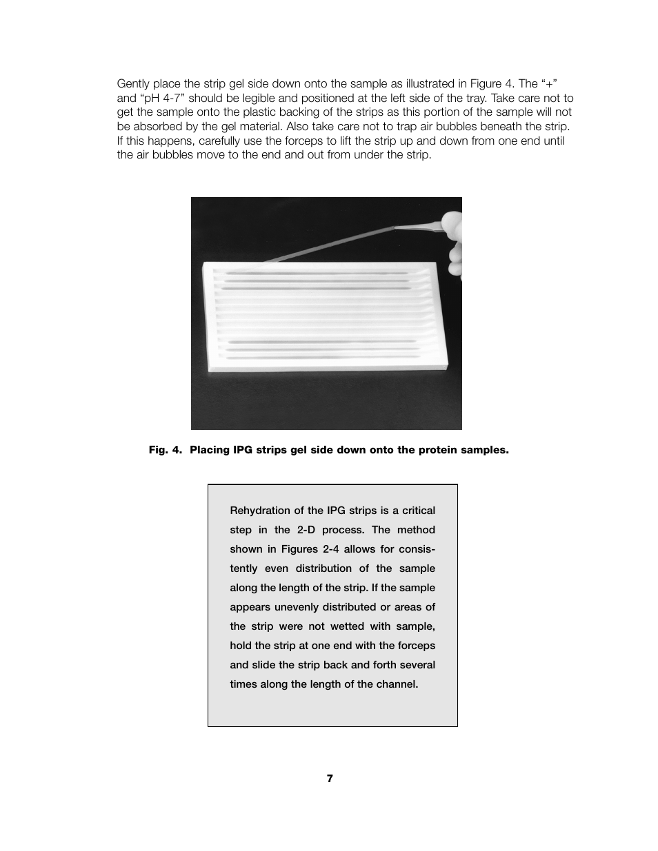 Bio-Rad ReadyPrep™ 2-D Starter Kit User Manual | Page 9 / 28