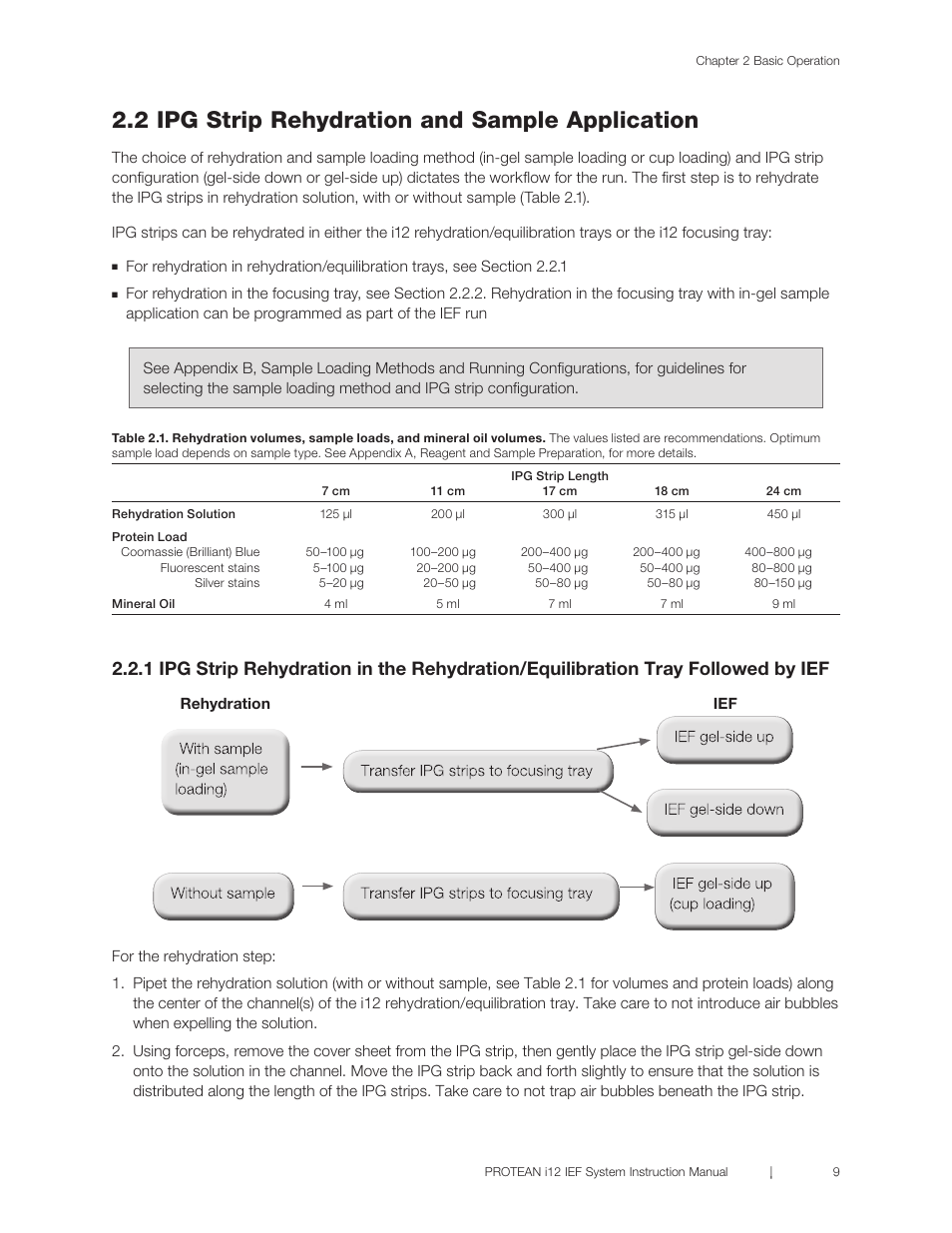2 ipg strip rehydration and sample application, 1 ipg strip rehydration in the rehydration, Equilibration tray followed by ief | Bio-Rad PROTEAN® i12™ IEF System User Manual | Page 13 / 60