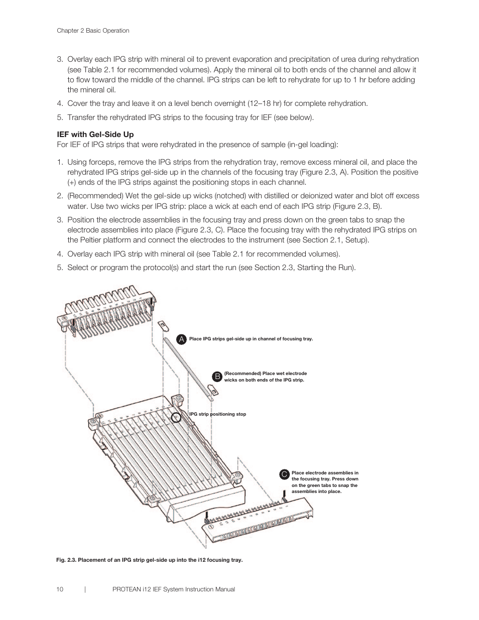 Bio-Rad PROTEAN® i12™ IEF System User Manual | Page 14 / 60