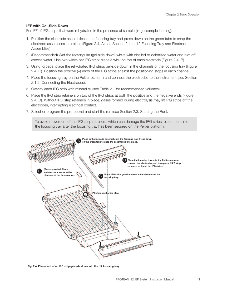 Bio-Rad PROTEAN® i12™ IEF System User Manual | Page 15 / 60