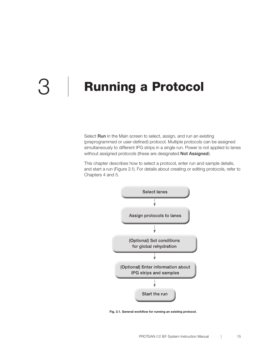 Chapter 3 running a protocol, R 3 running a protocol, Run an existing protocol | Chapter 3), Chapter title here running a protocol | Bio-Rad PROTEAN® i12™ IEF System User Manual | Page 19 / 60