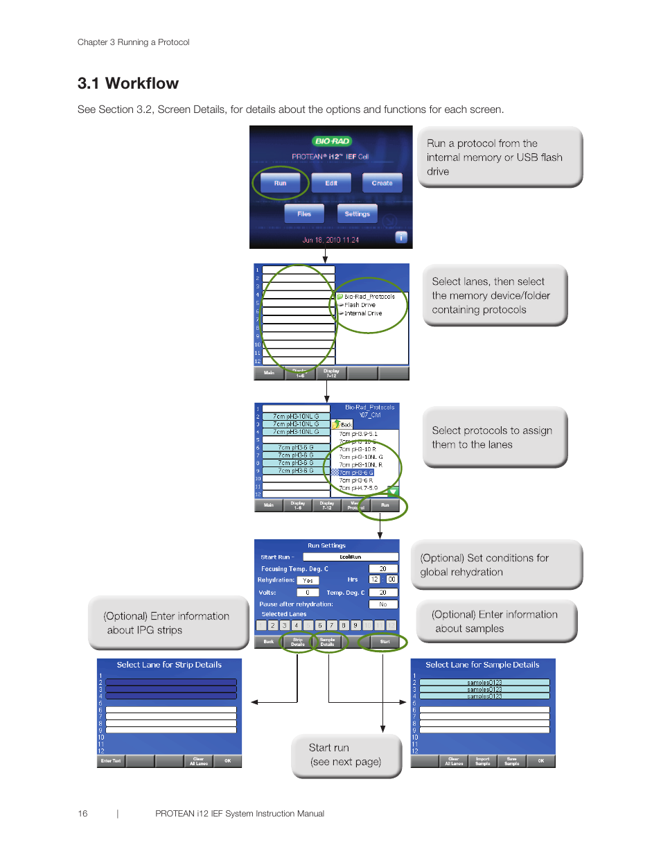 1 workflow | Bio-Rad PROTEAN® i12™ IEF System User Manual | Page 20 / 60