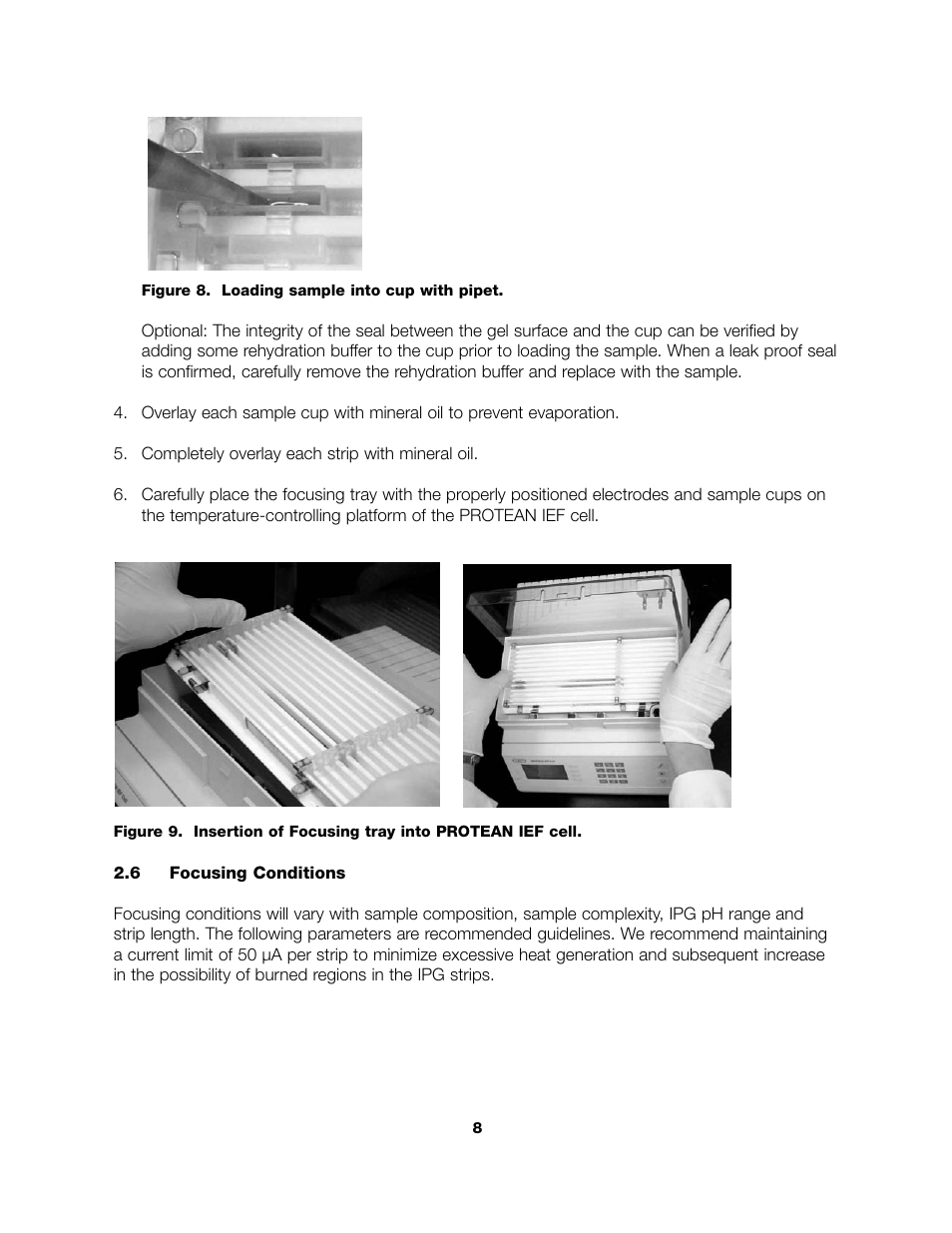 Bio-Rad PROTEAN® IEF Cell Accessories User Manual | Page 10 / 16