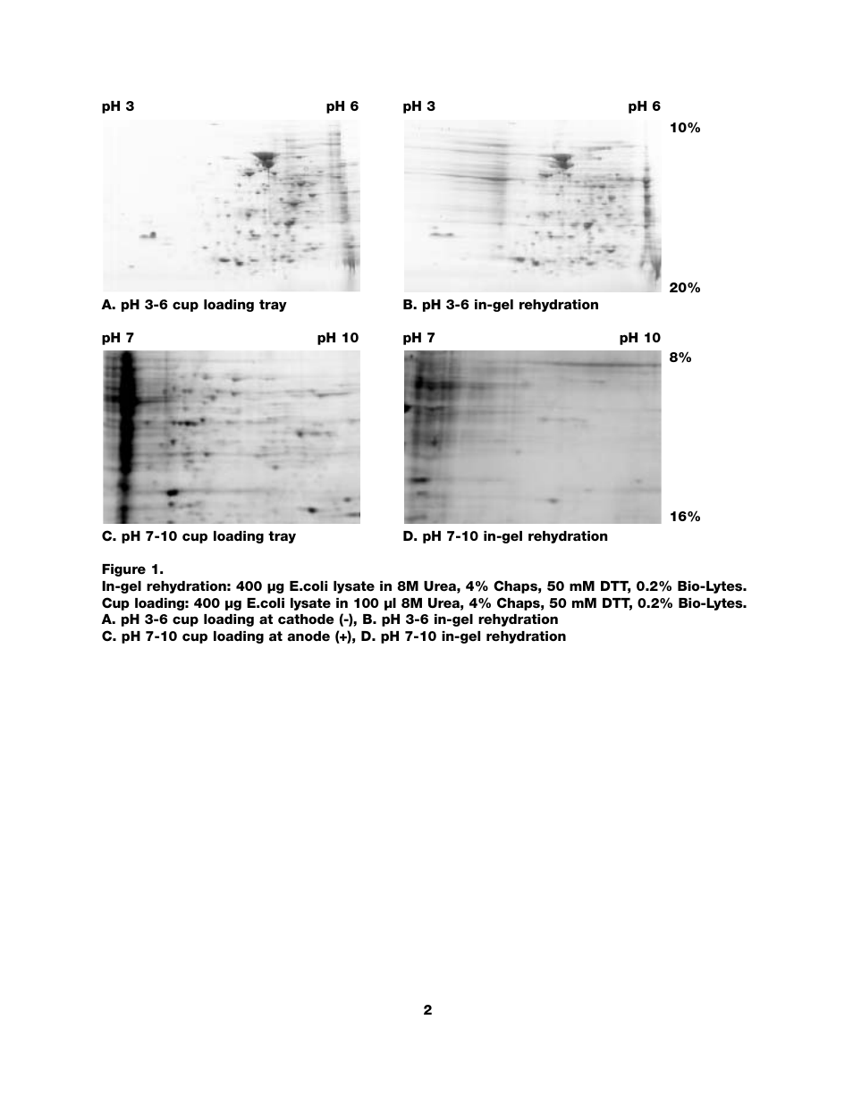 Bio-Rad PROTEAN® IEF Cell Accessories User Manual | Page 4 / 16