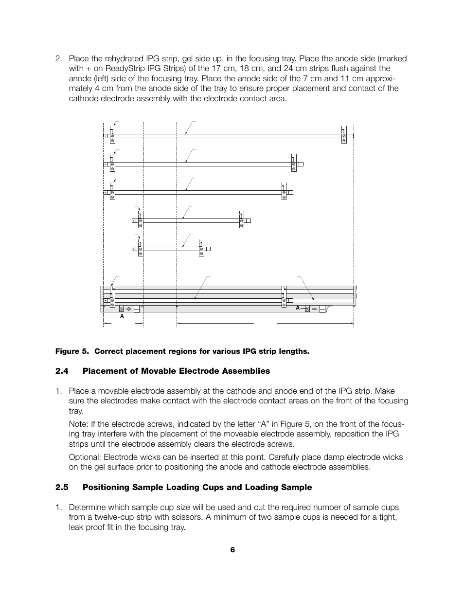 Bio-Rad PROTEAN® IEF Cell Accessories User Manual | Page 8 / 16