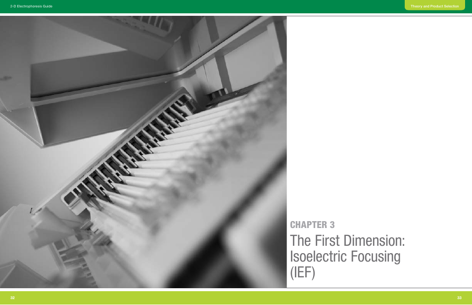 Chapter 3 the first dimension, Isoelectric focusing (ief), The first dimension: isoelectric focusing (ief) | Bio-Rad GS-900™ Calibrated Densitometer User Manual | Page 18 / 72