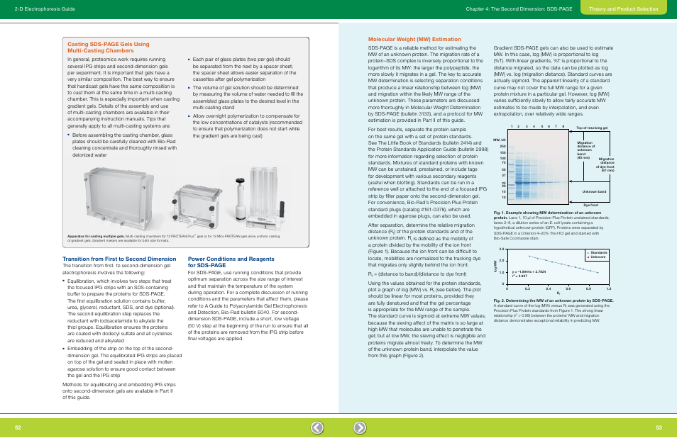 Transition from first to second dimension, Molecular weight estimation, Power conditions and reagents for sds-page | Casting sds-page gels using multi-casting chambers, Molecular weight (mw) estimation | Bio-Rad GS-900™ Calibrated Densitometer User Manual | Page 28 / 72