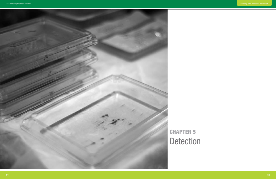 Chapter 5 detection, Detection, Chapter 5 | Bio-Rad GS-900™ Calibrated Densitometer User Manual | Page 29 / 72
