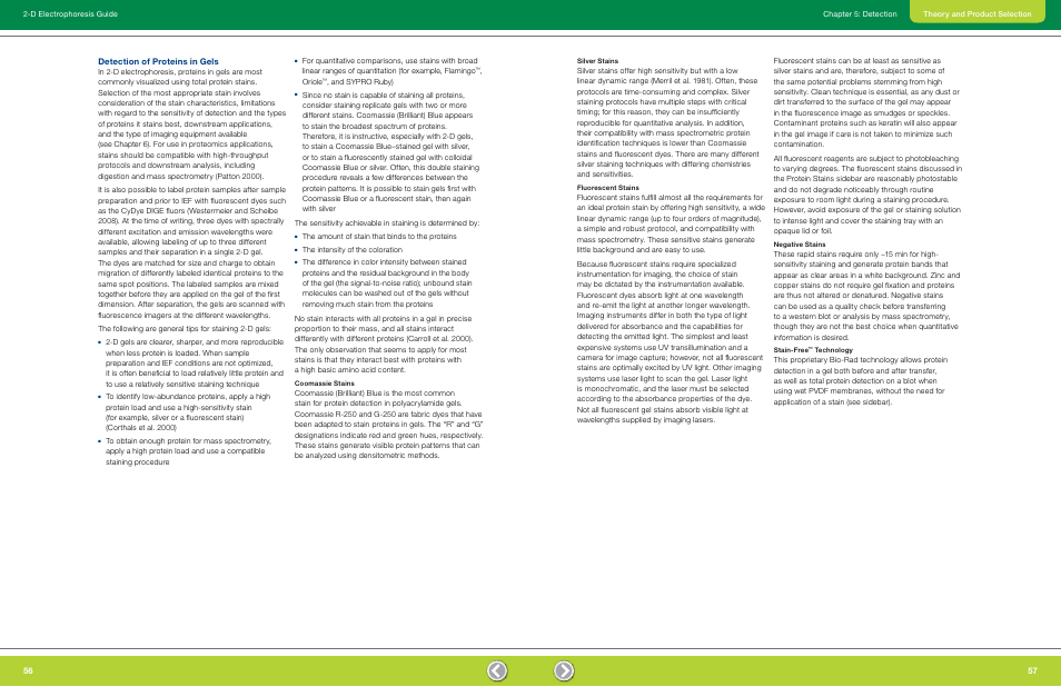 Detection of proteins in gels, Coomassie stains, Silver stains | Fluorescent stains, Negative stains, Stain-free technology | Bio-Rad GS-900™ Calibrated Densitometer User Manual | Page 30 / 72