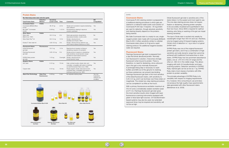 Coomassie stains, Fluorescent stains, Protein stains | Bio-Rad GS-900™ Calibrated Densitometer User Manual | Page 31 / 72