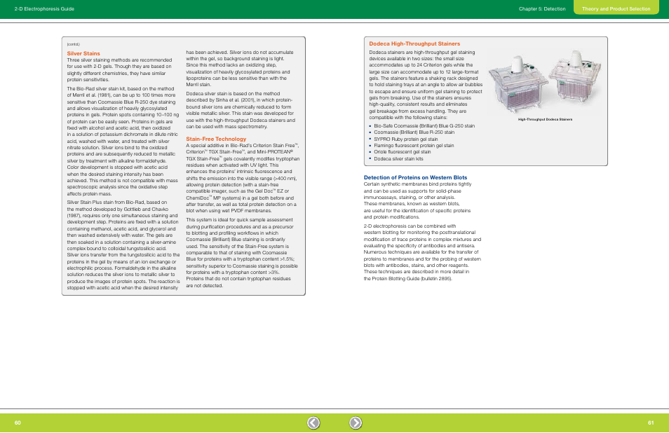 Detection of proteins on western blots, Silver stains, Stain-free technology | Dodeca high-throughput stainers | Bio-Rad GS-900™ Calibrated Densitometer User Manual | Page 32 / 72