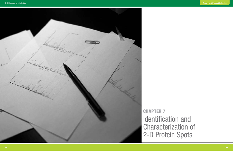 Chapter 7 identification and, Characterization of 2-d protein spots | Bio-Rad GS-900™ Calibrated Densitometer User Manual | Page 36 / 72