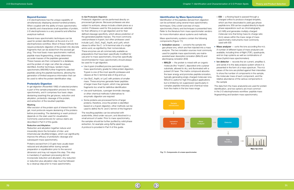 Beyond excision, Proteolytic digestion, Washing | Reduction and alkylation, In-gel proteolytic digestion, Identification by mass spectrometry | Bio-Rad GS-900™ Calibrated Densitometer User Manual | Page 37 / 72