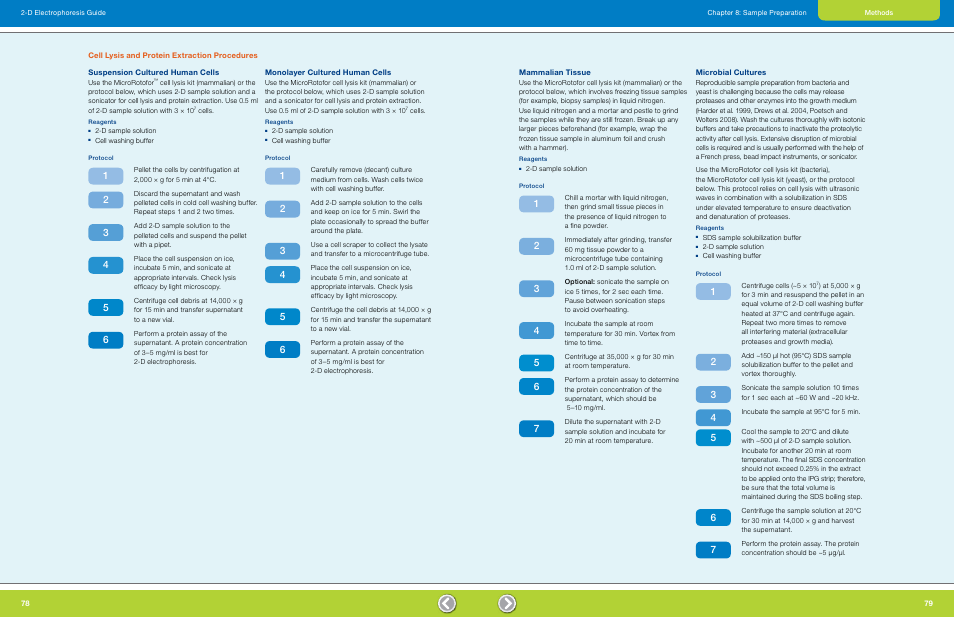 Cell lysis and protein extraction procedures, Suspension cultured human cells, Monolayer cultured human cells | Mammalian tissue, Microbial cultures | Bio-Rad GS-900™ Calibrated Densitometer User Manual | Page 41 / 72